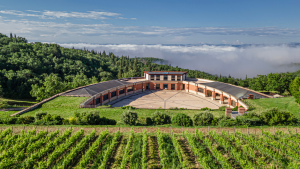 Masterclass: Taste a Tuscan wine legend-in-the-making