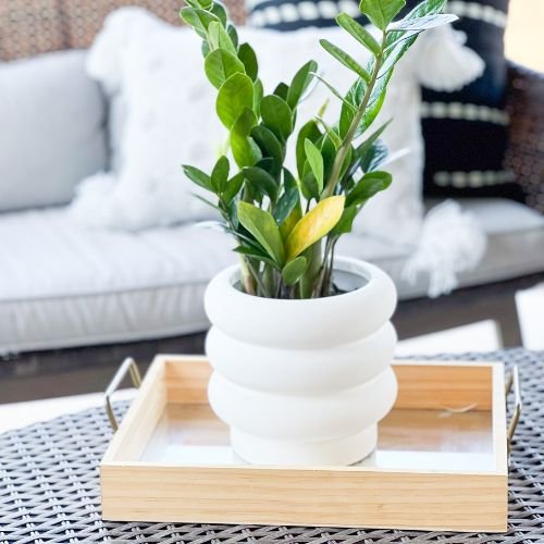 <div>Walmart is putting out new Patio & Garden Planters! And they are SO cute!</div>