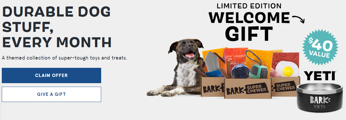FREE Yeti Dog Bowl with a New Super Chewer Box Subscription!