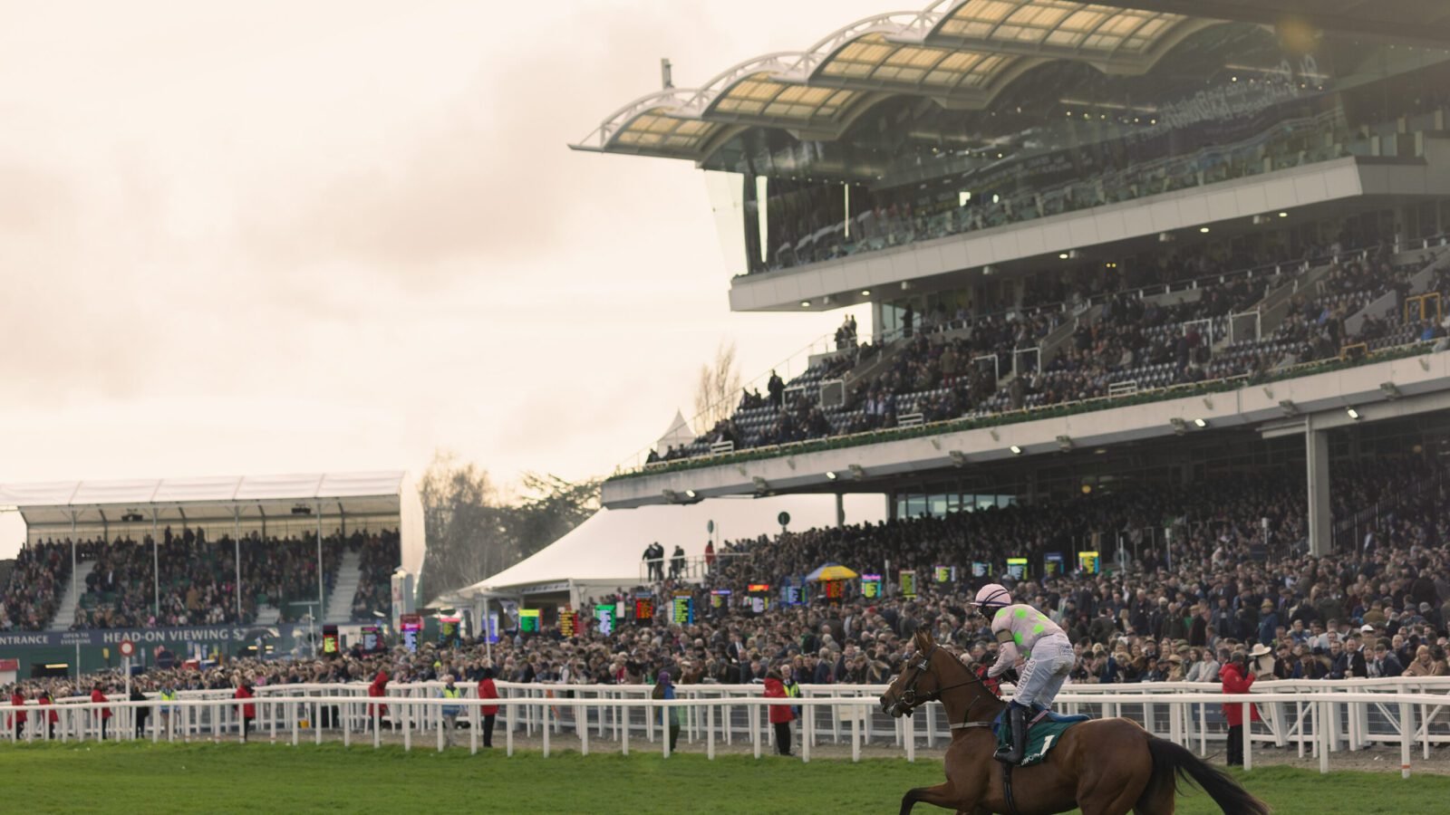 Cheltenham Ante-Post Tips 2024: Take stock of 12/1 and 20/1 handicappers