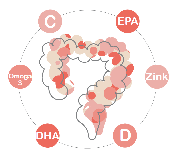 Invisible and yet so important for our health and well-being: Miracle immune system!