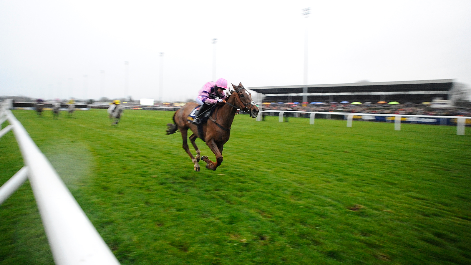 Saturday Racing Tips: Move Forward with the Plan