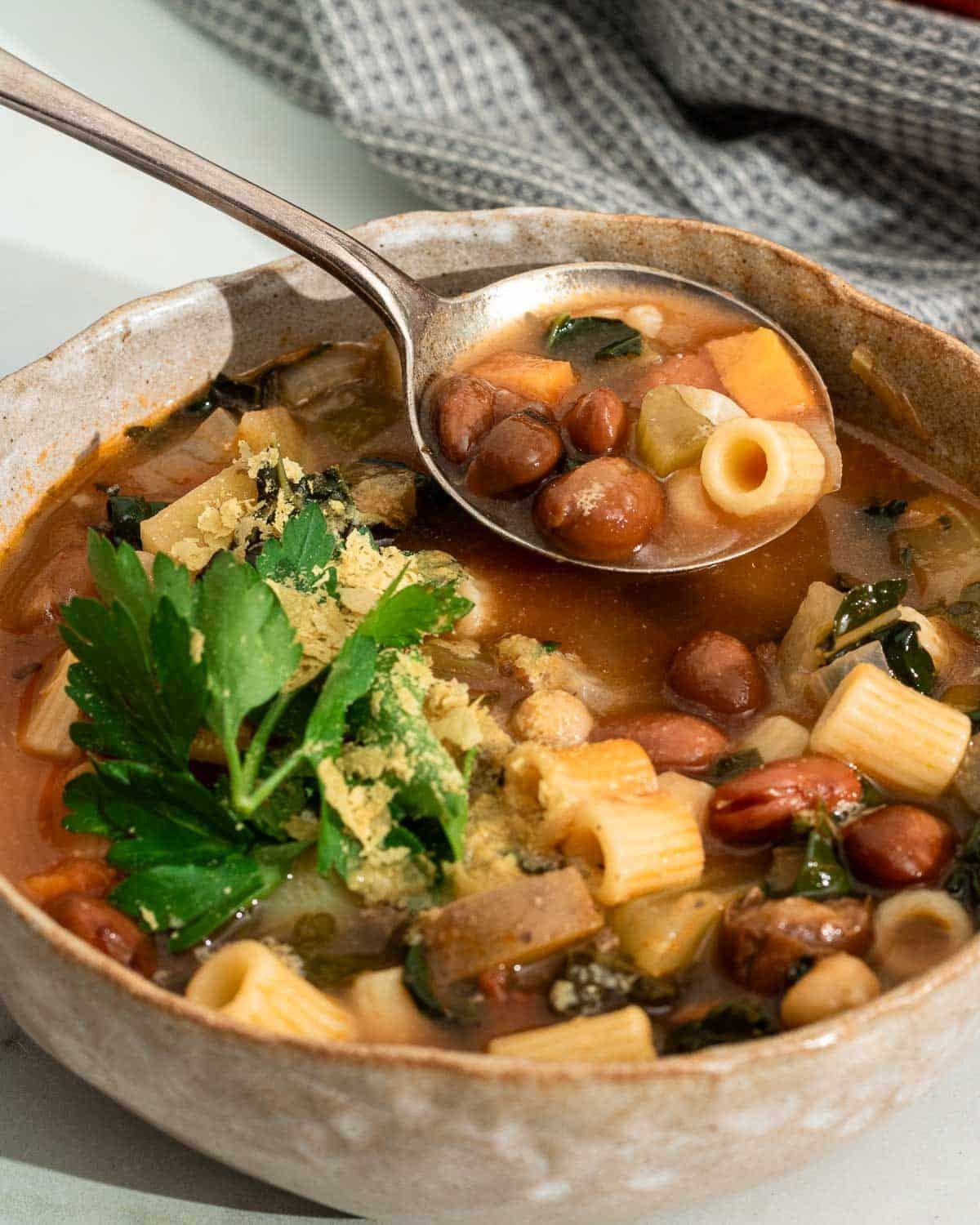 Healthy and Hearty Minestrone Soup- Sardinian Style