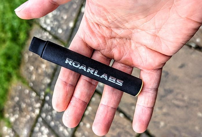 Roarlabs Roar X Review – A Modular Vape?