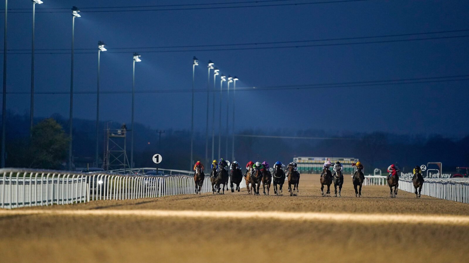 Tuesday Racing Tips: Halo can win the Gold at Southwell