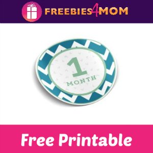 1️⃣ Free Printable Sign: Baby’s Monthly Milestone Stickers