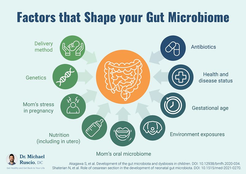 <div>What Is the Gut Microbiome & Its Impact on Your Health?</div>