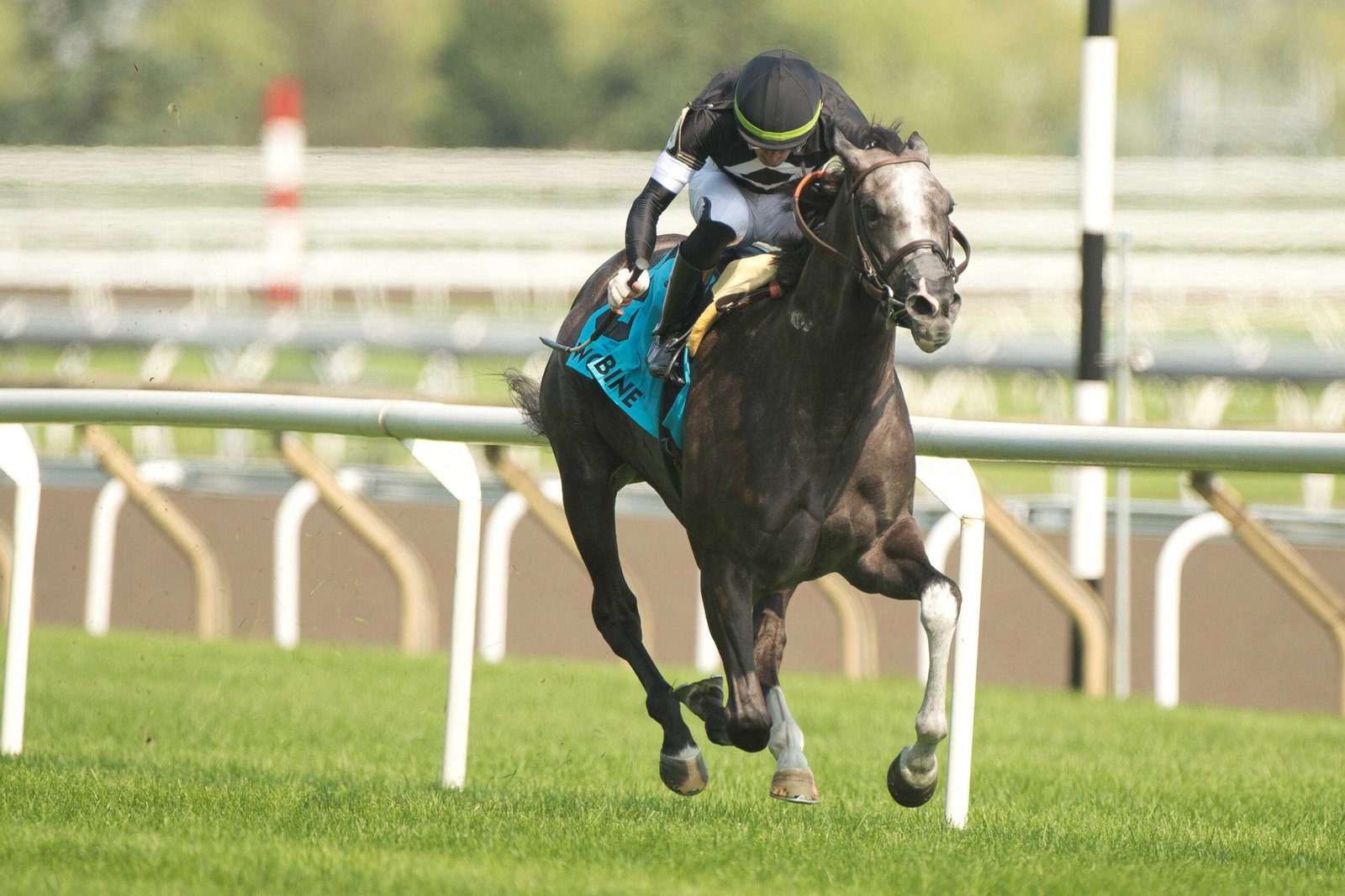 Time to Dazzle goes coast-to-coast in Grade 3 Ontario Colleen