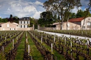 The Bordeaux vintage guide to years ending in 4