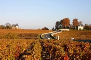 <div>A new dawn beckons for the Médoc’s white wines</div>