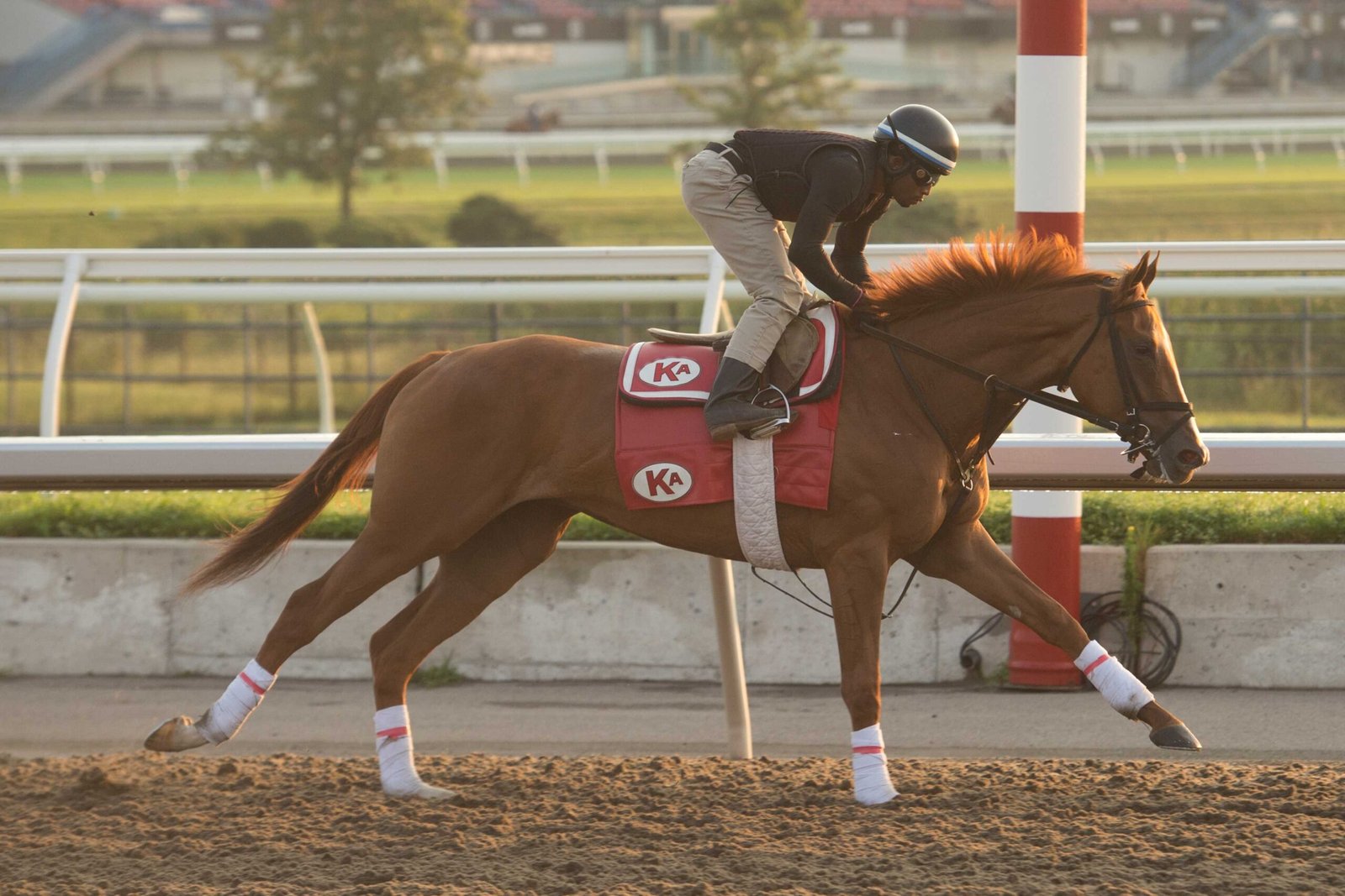 14 fillies chase Woodbine Oaks glory on stakes-filled Saturday