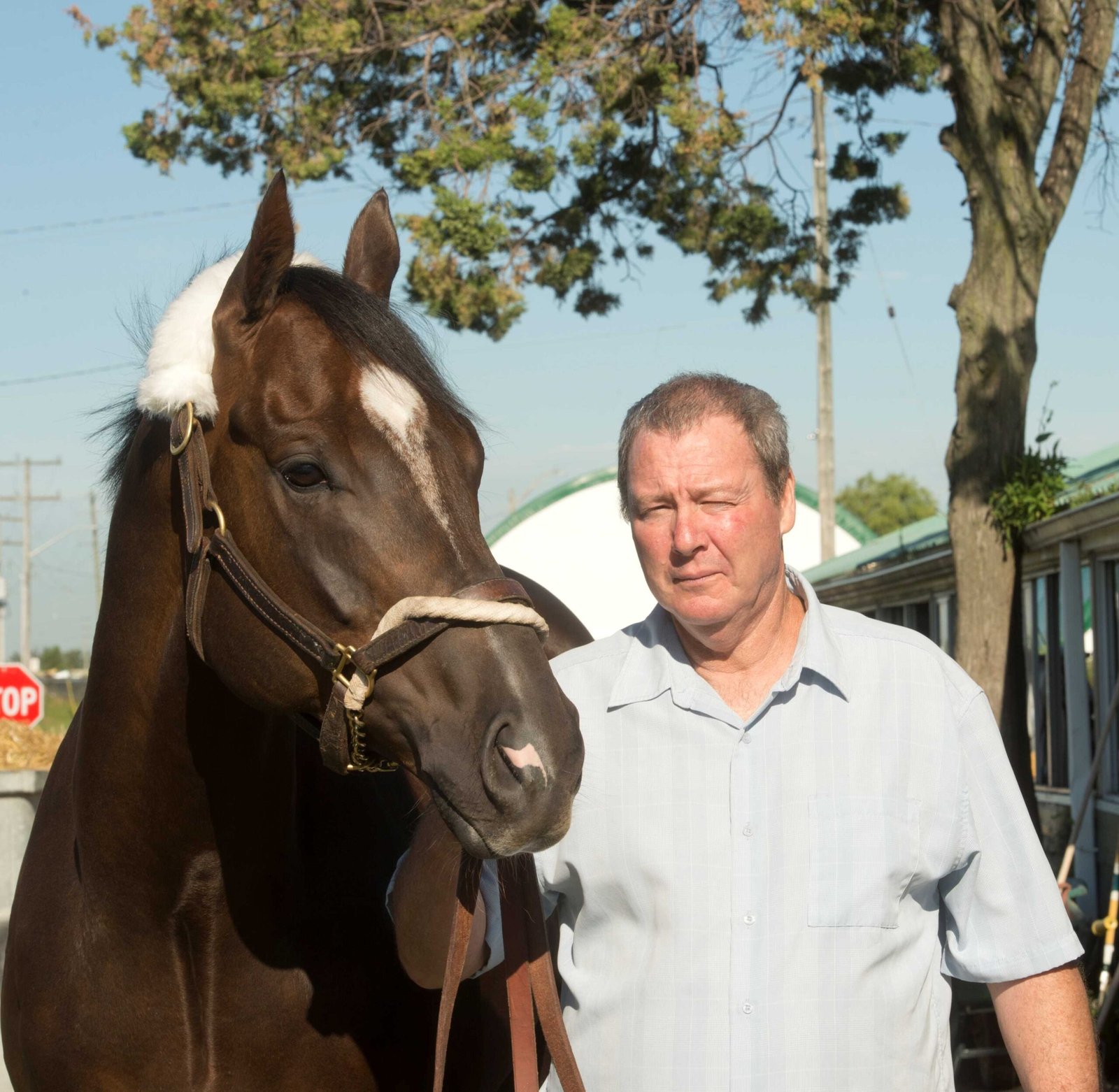 Horse Person of the Month for July presented by New Holland: Paul Seymour