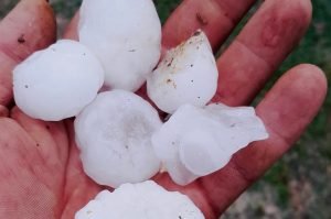 Vineyards in northwestern Spain hit by extreme weather