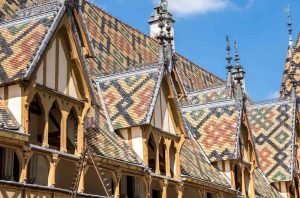 Hospices de Beaune certified organic from 2024 vintage