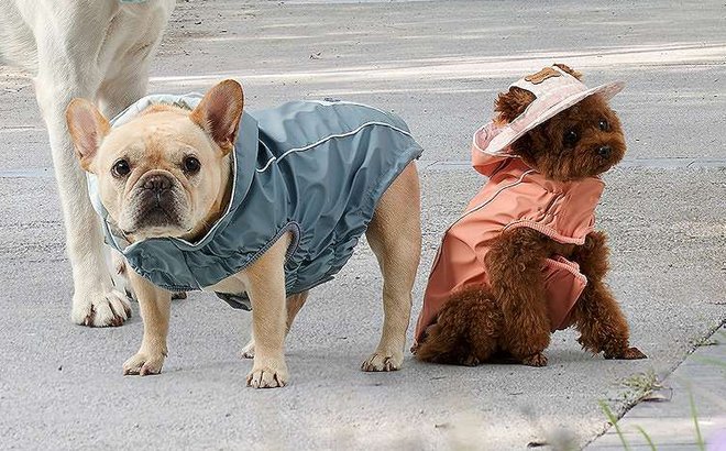 Koolaburra by UGG Reversible Pet Raincoat $15 Shipped at Kohl’s