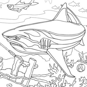 🦈Free Printable Adult Coloring: Let’s Explore! Sharks