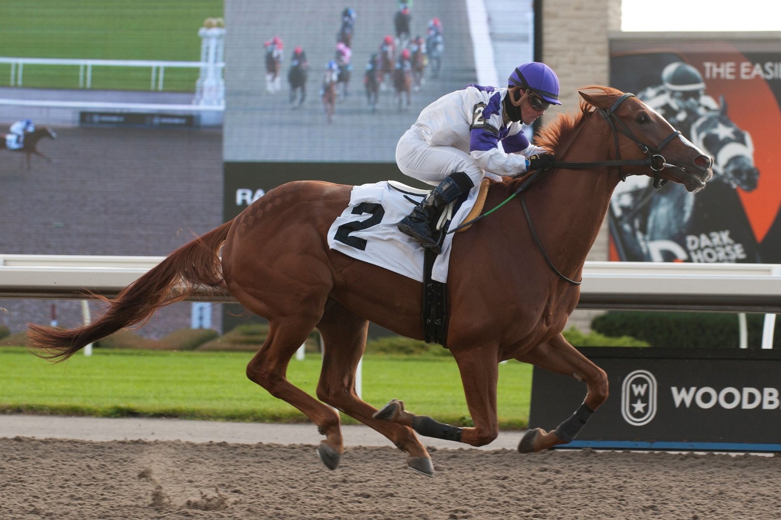 Pitching Fast comes home: “LongRun brought this special horse back to me”