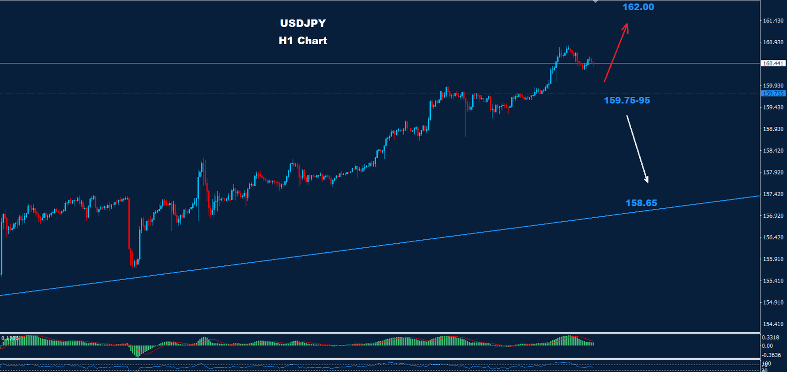 USD/JPY – 01.07.2024