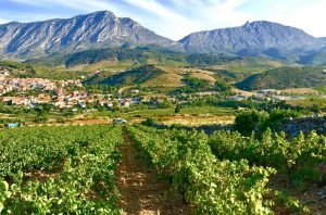 <div>Walls: The secret to Roussillon’s stunning whites</div>