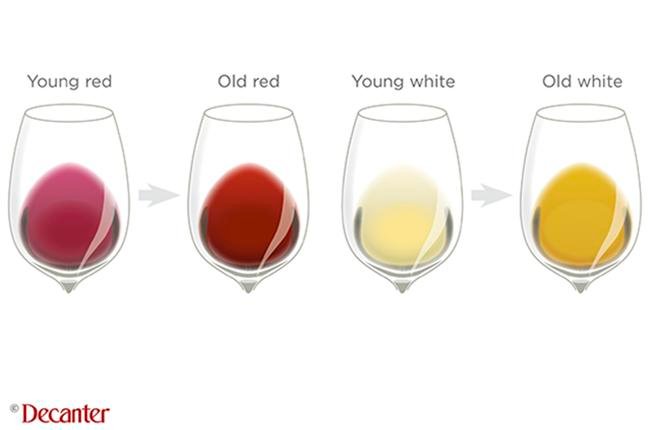 The Science of Ageing: How Time Transforms Vintage Wine