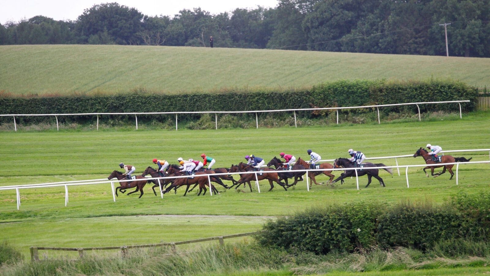 Wednesday’s Racing Tips: Singer can go one better