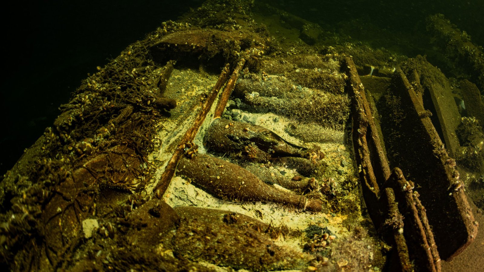 Divers Discover Over 100 Bottles of Champagne in 19th Century Shipwreck