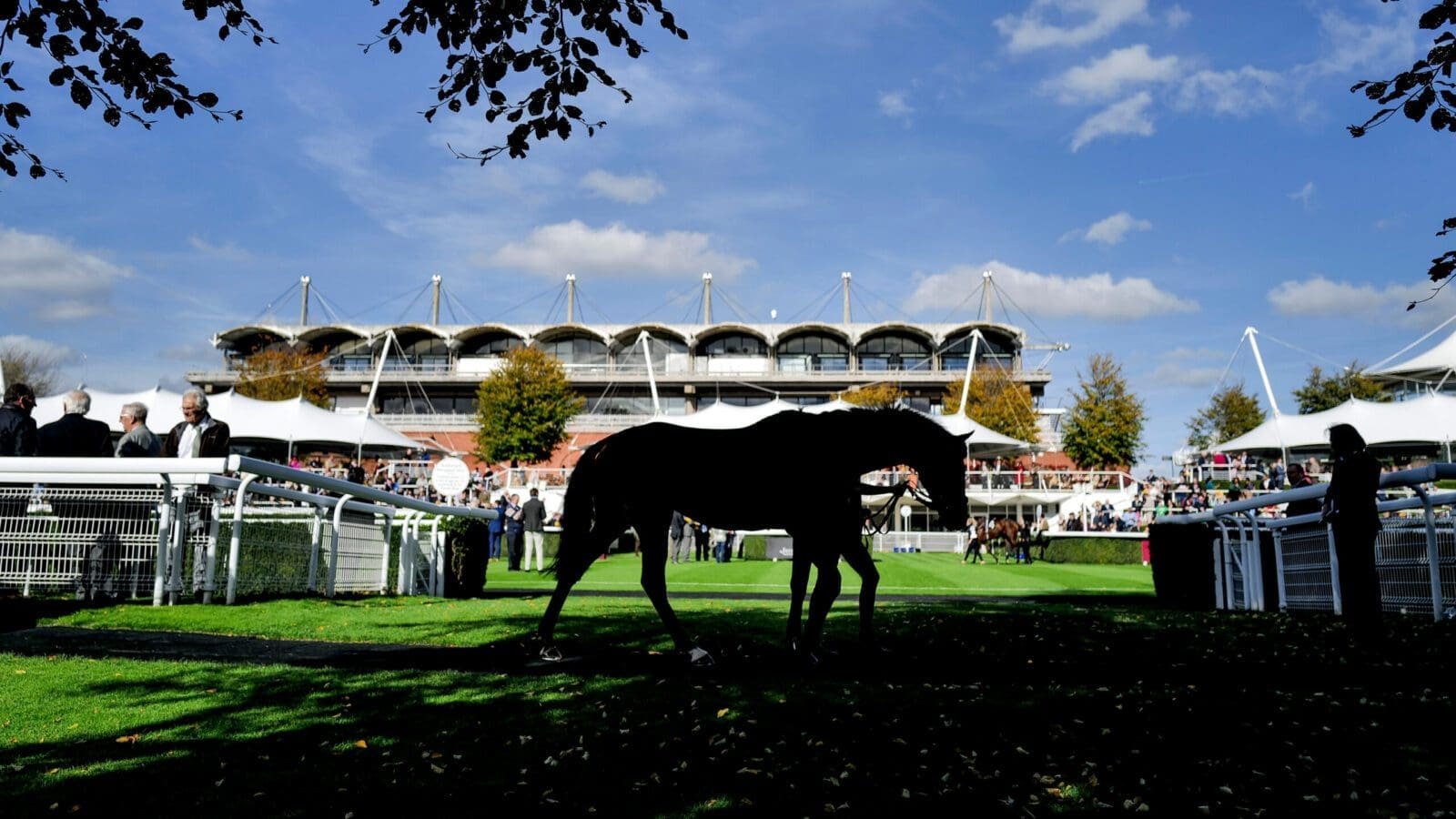 Glorious Goodwood Day 3 Tips: Three to consider on Thursday