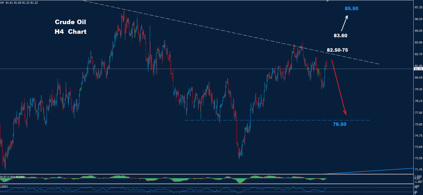 Crude Oil – 19.07.2024