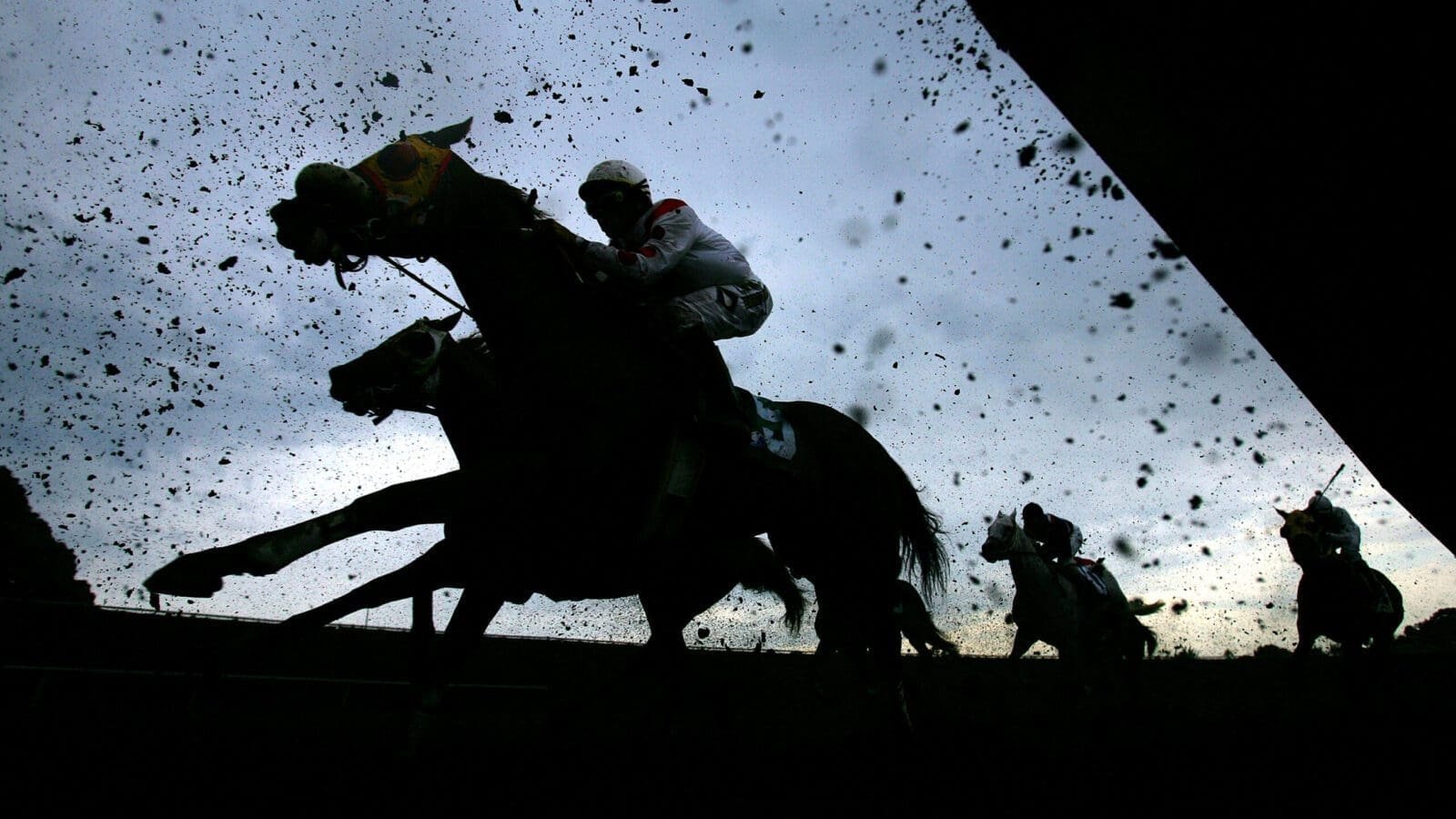 US Horse Racing Tips: Put your money on Seventeen Black