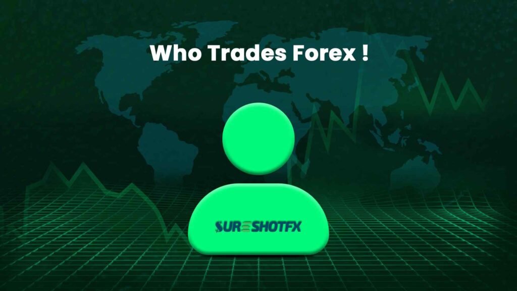 FOREX 101: A Basic Guide To FOREX Trading 2024