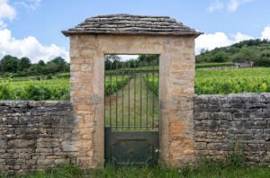 White Burgundy 2022: Three domaines with wines worth waiting for