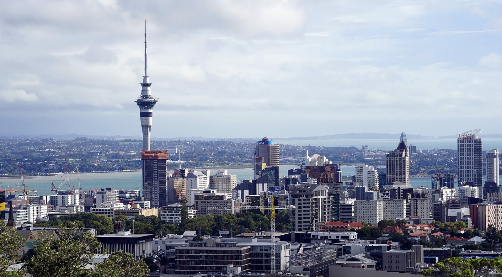 The Pain Trade: What’s Next for NZ Property?