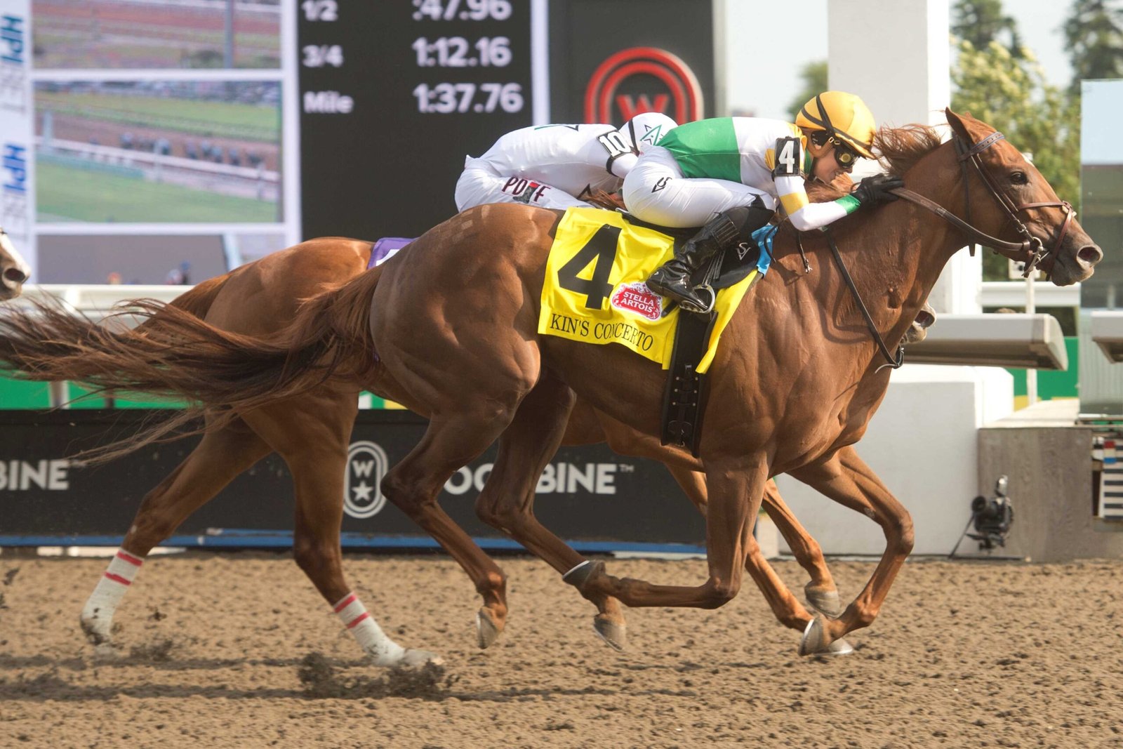 Nine fillies, including Kin’s Concerto, Hurricane Clair set to contest Bison City