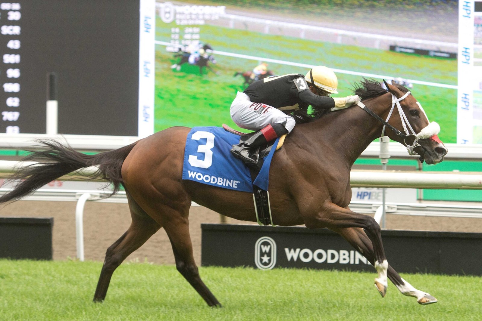 Full Count Felicia hits it out of the park in Canadian Stakes (G2T)