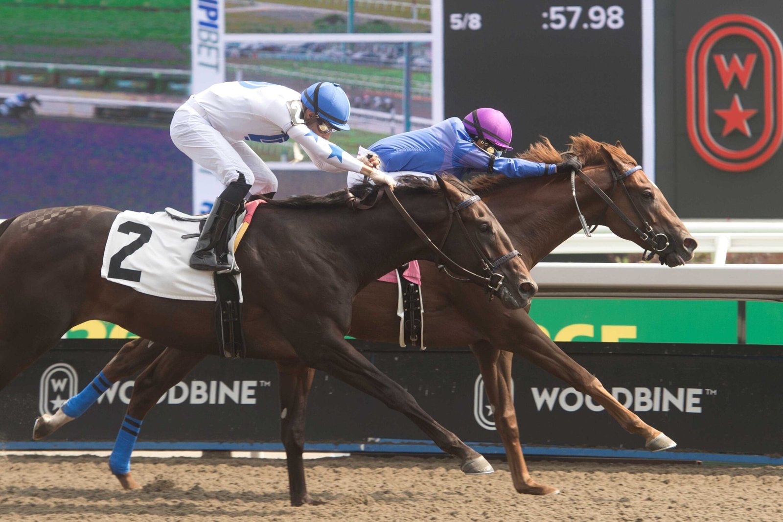 Four Yearling Sales Stakes, Vice Regent on the slate Sunday at Woodbine