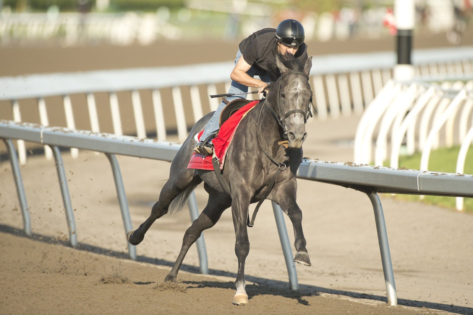 165th Kings Plate, four other outstanding stakes highlight Friday Woodbine card