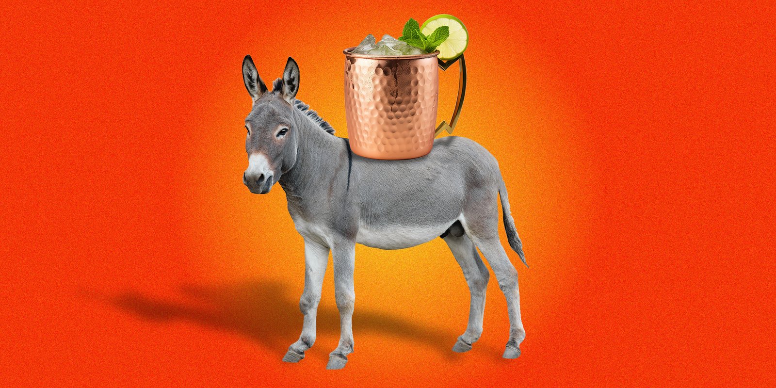 Why the Mule Is the Ultimate Workhorse Cocktail