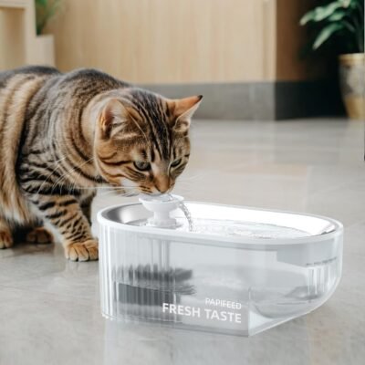 Papifeed Cat Water Fountain Only $15.99