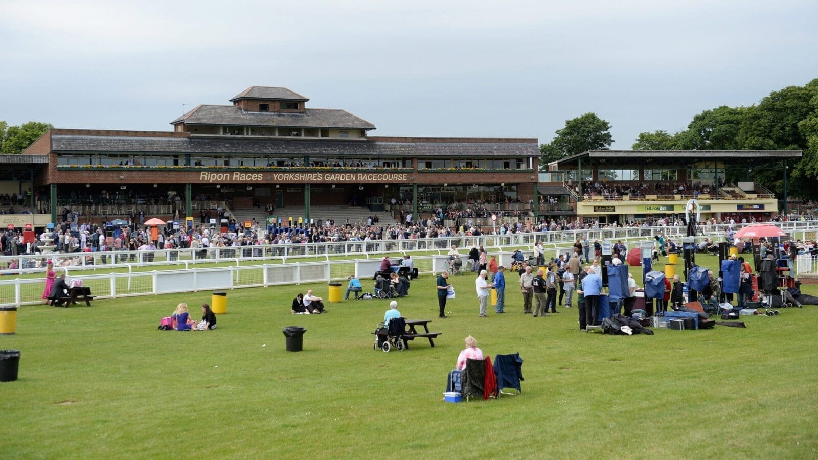 Horse Racing Tips: Art can paint the right picture at Ripon