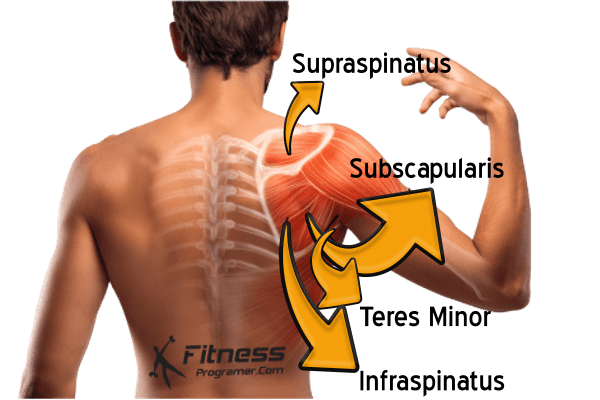 Rotator Cuff Exercises for Stronger Shoulders