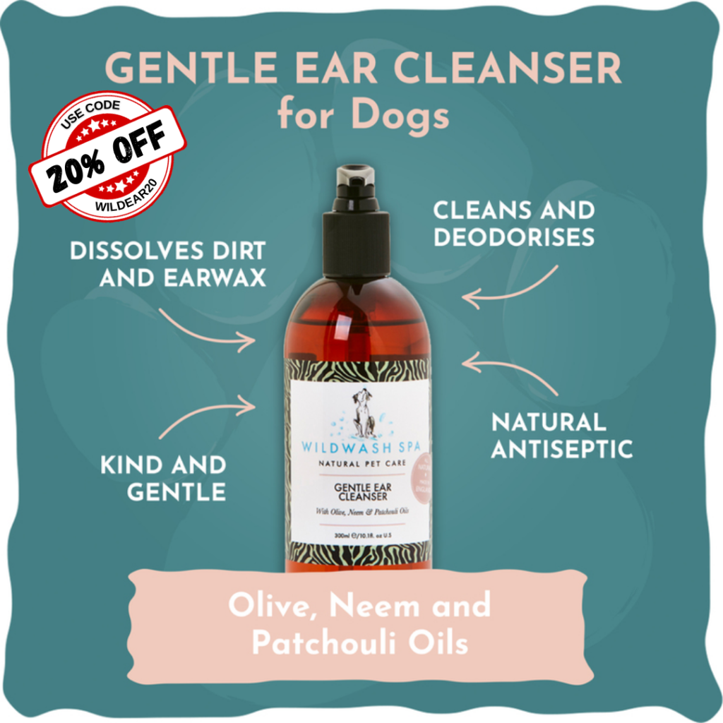 The Importance of Regular Ear Cleaning for Dogs – 5 Essential Tips!