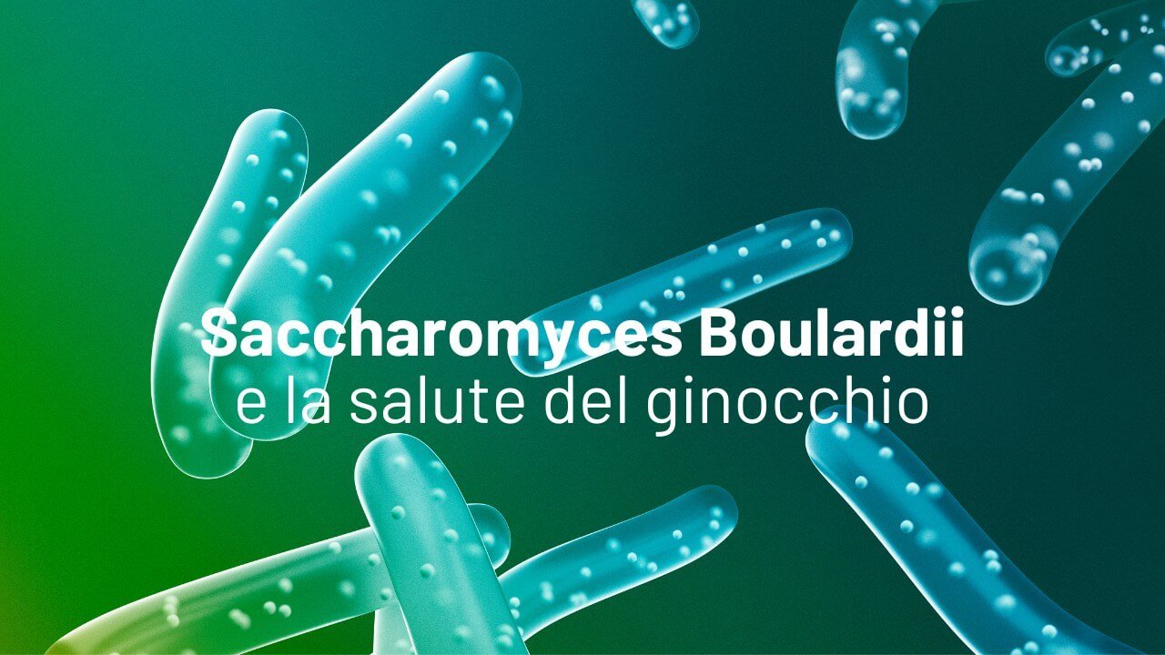 Saccharomices Boulardii e la salute del ginocchio