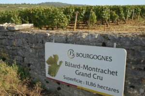 Hundreds of Burgundy wine appellation signs to be auctioned