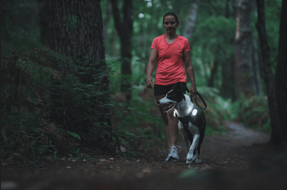 3 alternatives pour se mettre au sport avec son chien dès la rentrée !