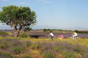 Provence by train and bike