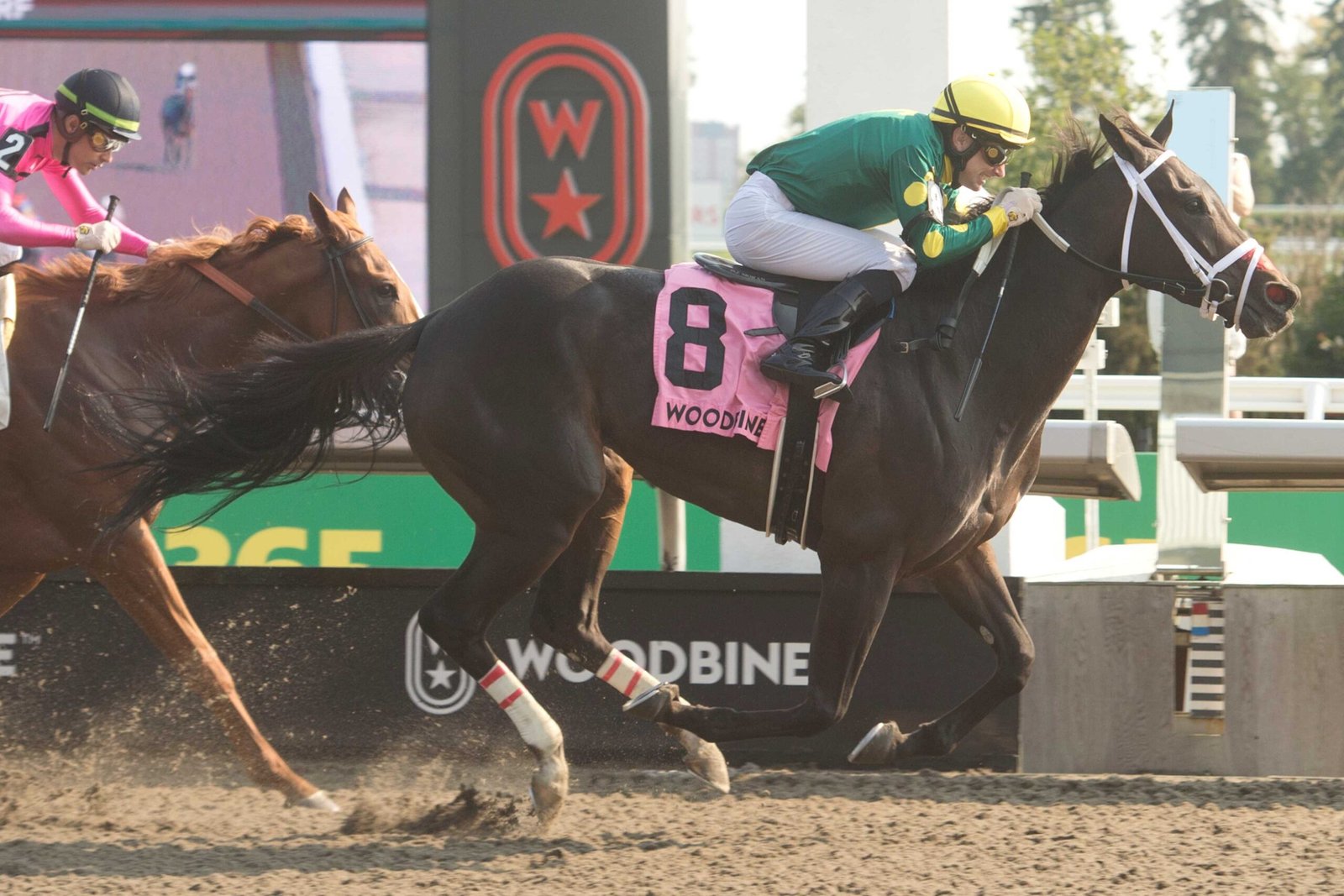 Emotional victory for Moran family in Grade 3 Ontario Matron