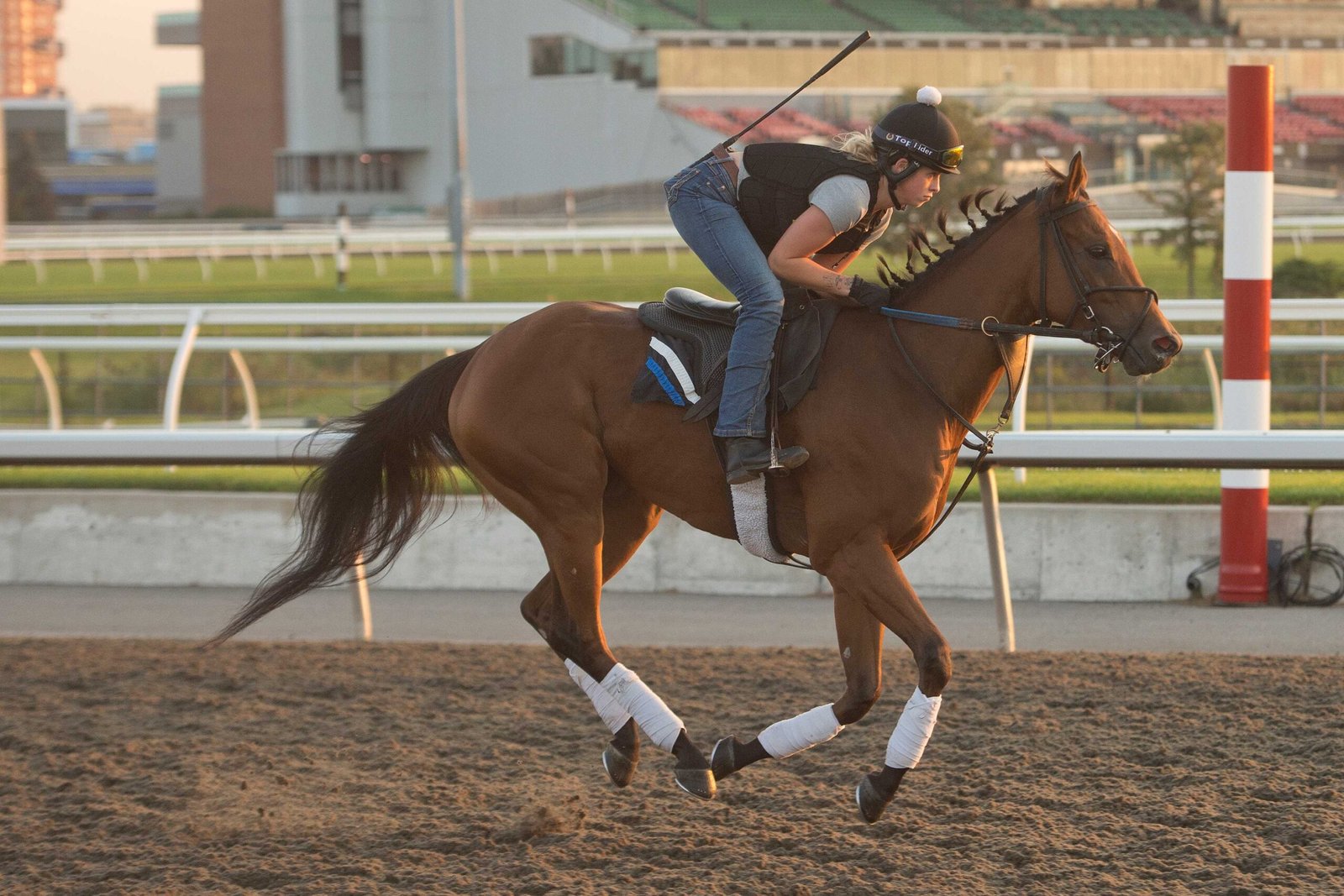 Sophomore fillies, including Chiefswood duo Quality Presence and Saccharine, set for Wonder Where Stakes