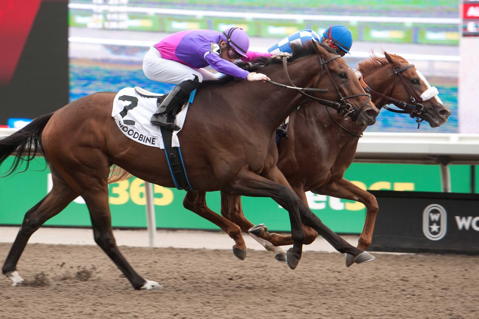 Top 3 Woodbine Weekend Highlights (September 28-29)