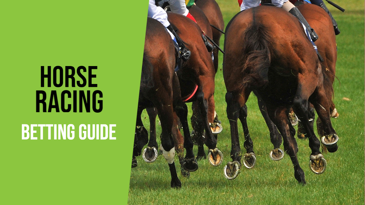 Horse Racing Betting Guide | How To Bet On Horses In 2024