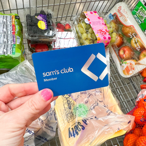 Sam’s Club One Year Membership ONLY $15 (Reg $50)!!